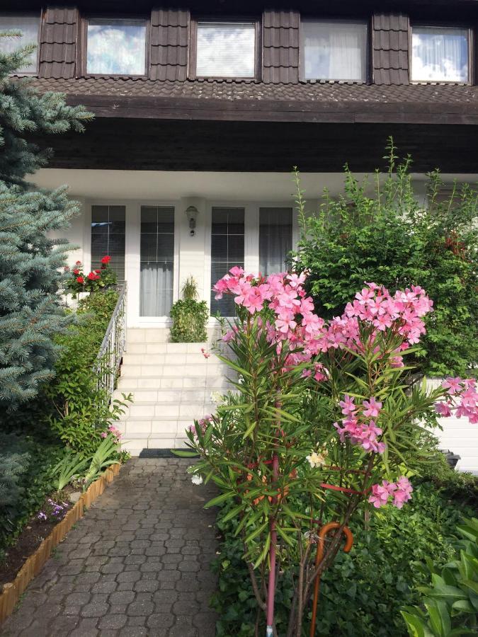 Anna Vendeghaz Eger Appartement Buitenkant foto